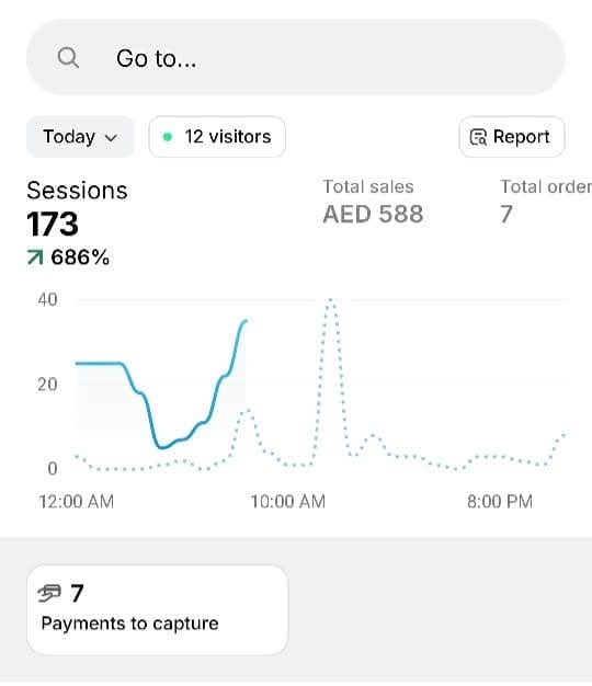 Shopify store traffic analytics